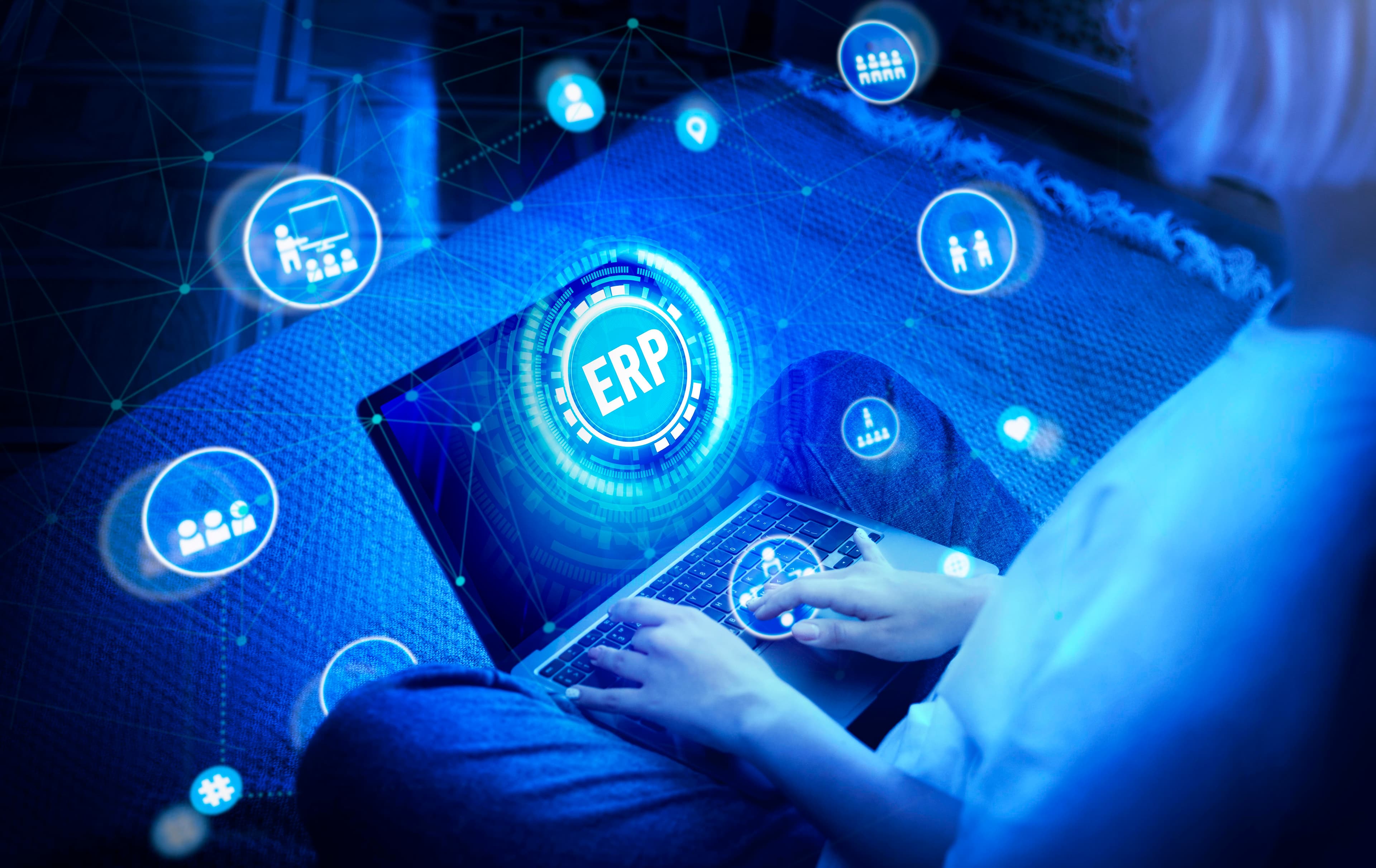 ERP Data Integrity