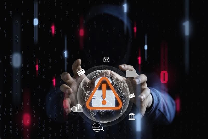 Fraud and Risk Exposure